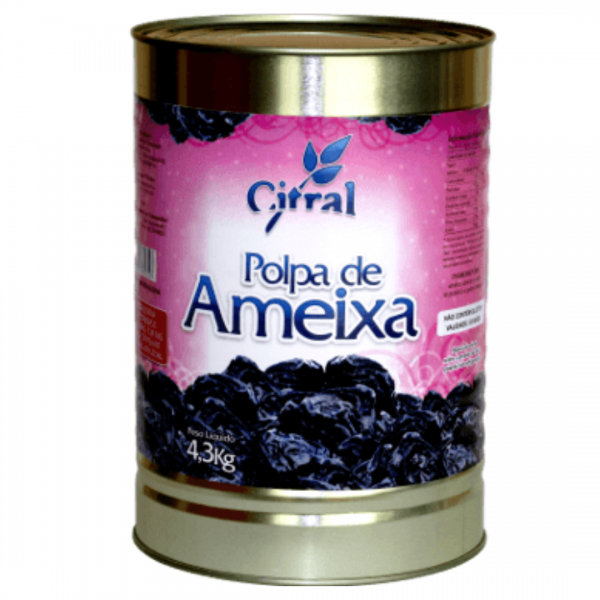 POLPA DE AMEIXA CITRAL 4,3KG